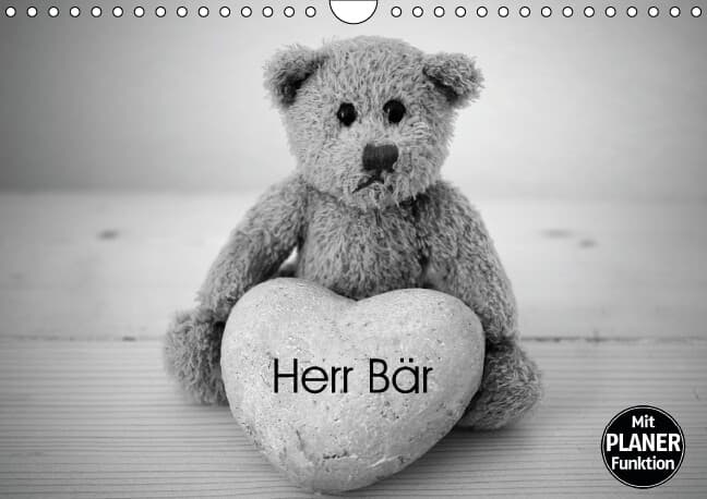 Herr Bär (Wandkalender immerwährend DIN A4 quer)