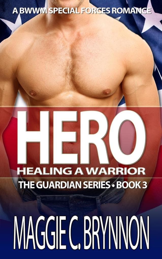 Hero: Healing a Warrior, Book 3 (The Guardian Series, #3)