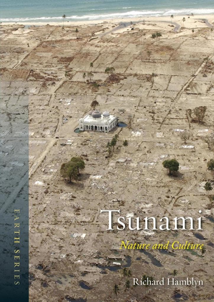 Tsunami