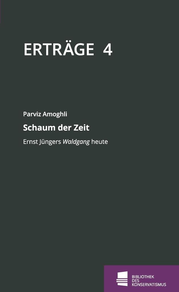 Schaum der Zeit