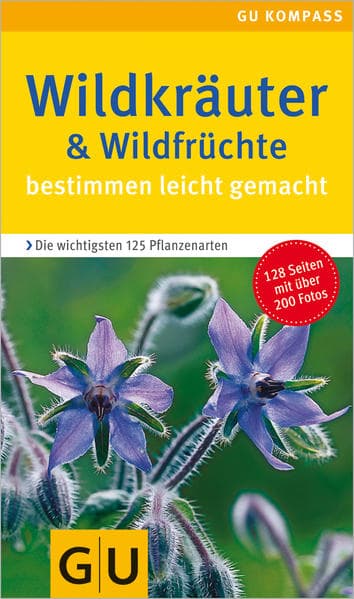 Wildkräuter. Wildfrüchte