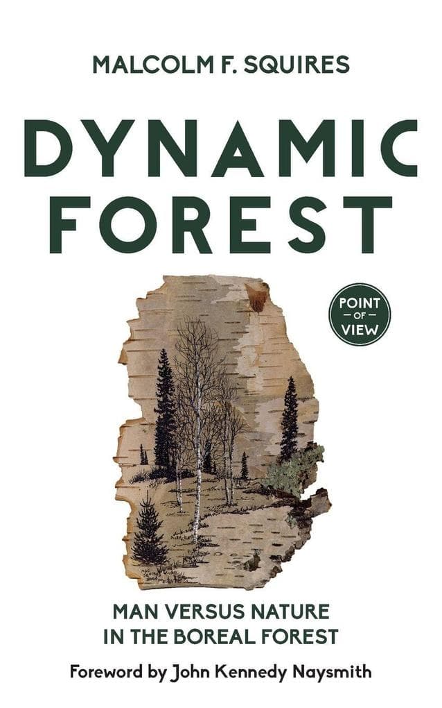 Dynamic Forest