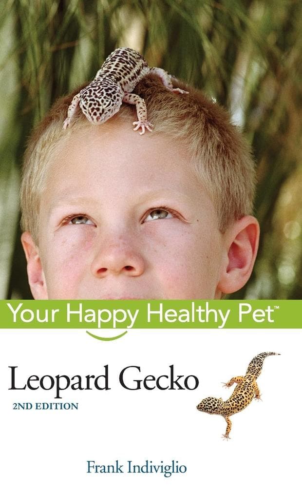 Leopard Gecko