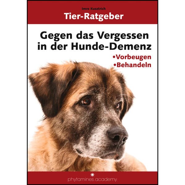 Gegen das Vergessen in der Hunde-Demenz