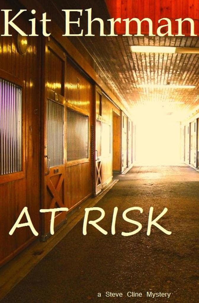 At Risk (Steve Cline Mysteries, #1)