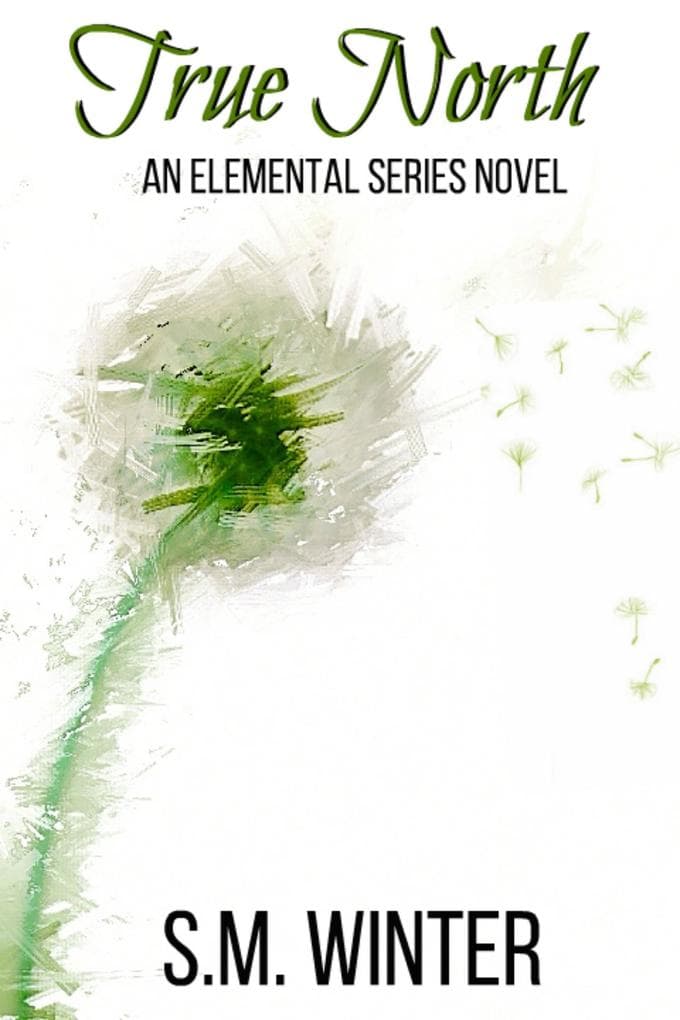 True North (Elemental, #1)