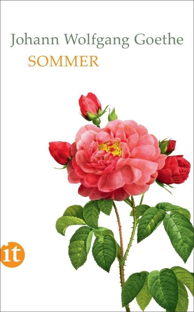 Sommer
