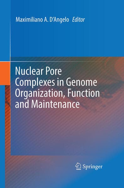 Nuclear Pore Complexes in Genome Organization, Function and Maintenance
