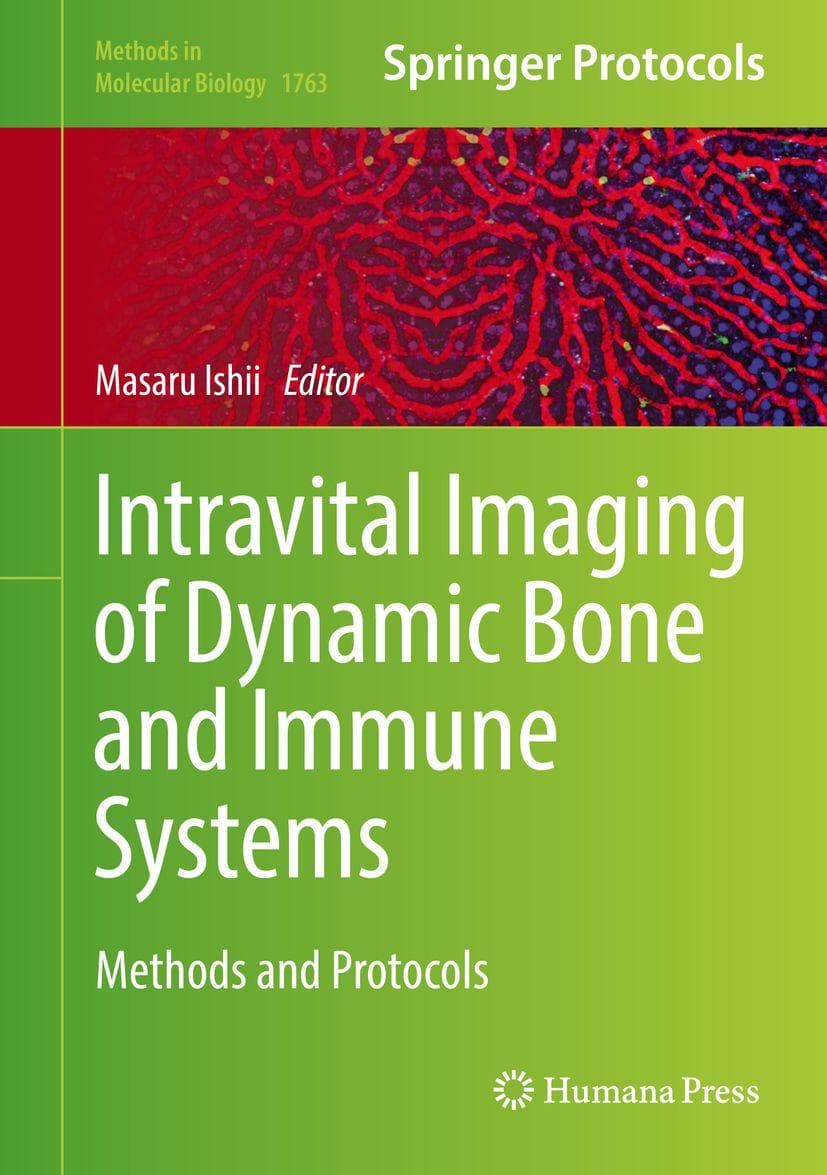 Intravital Imaging of Dynamic Bone and Immune Systems