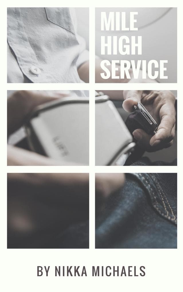 Mile High Service (At His Service, #3)