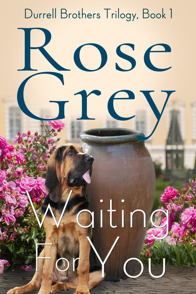 Waiting For You (Durrell Brothers Trilogy, #1)