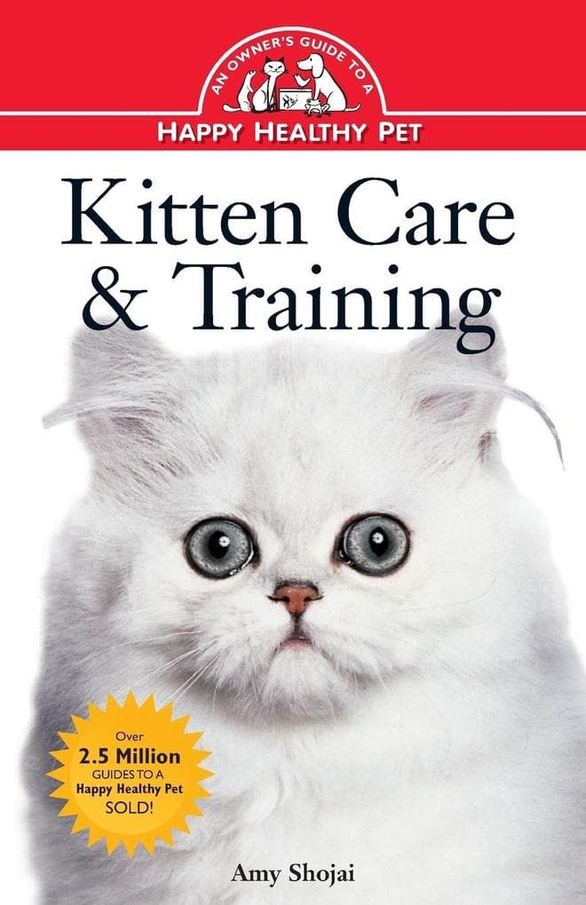 Kitten Care & Training