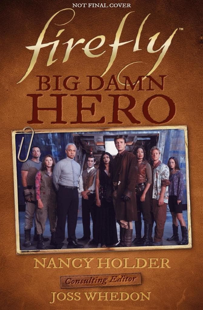 Big Damn Hero