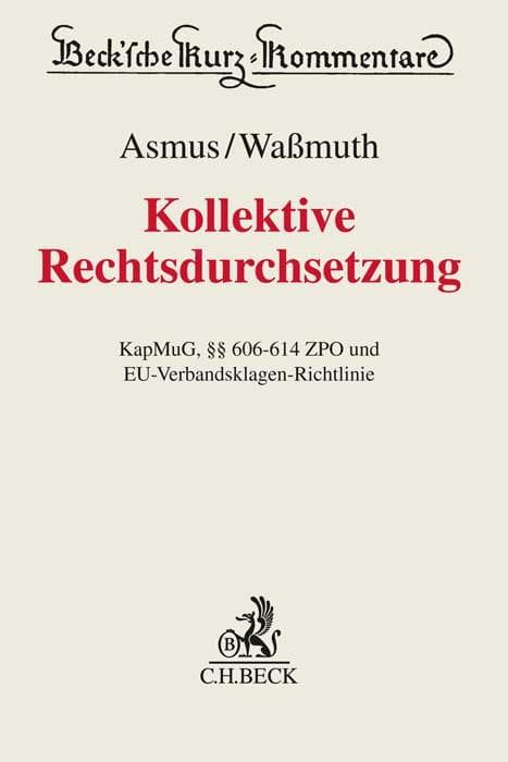 Kollektive Rechtsdurchsetzung