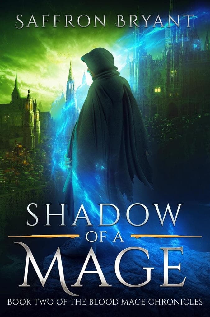 Shadow of a Mage (The Blood Mage Chronicles, #2)