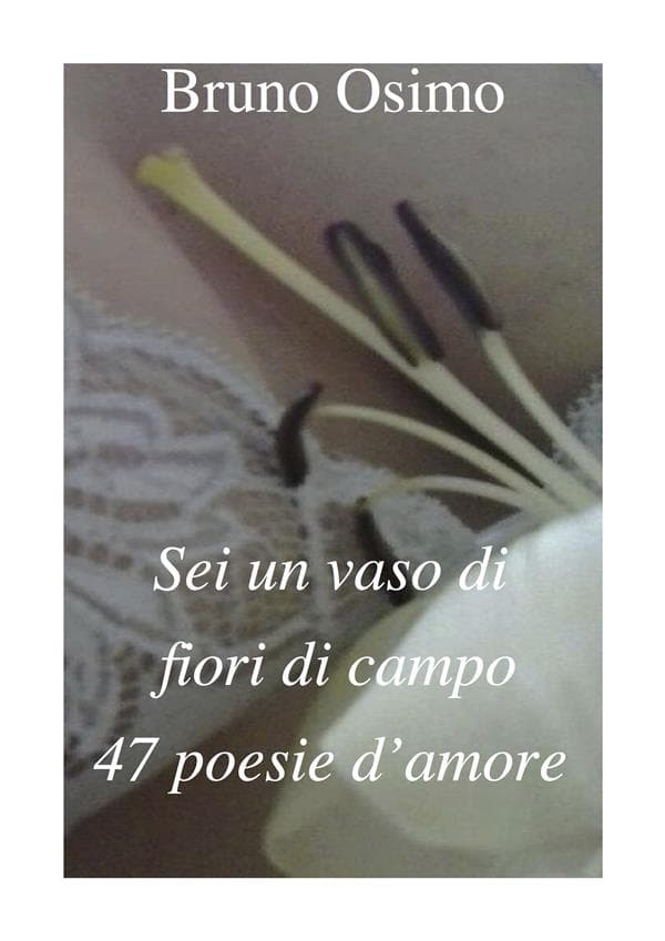 Sei un vaso di fiori di campo