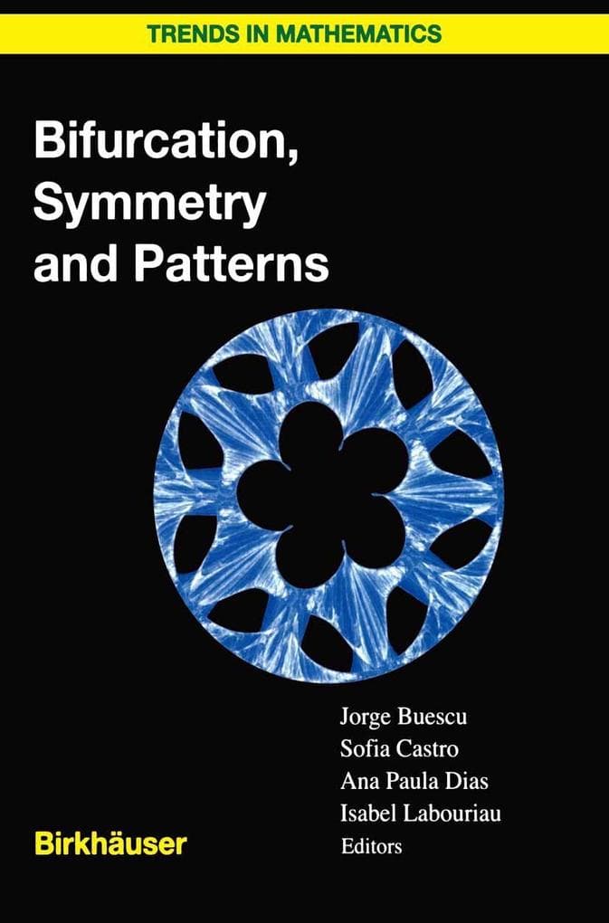 Bifurcation, Symmetry and Patterns
