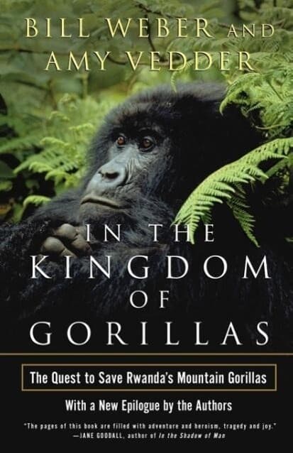 In the Kingdom of Gorillas