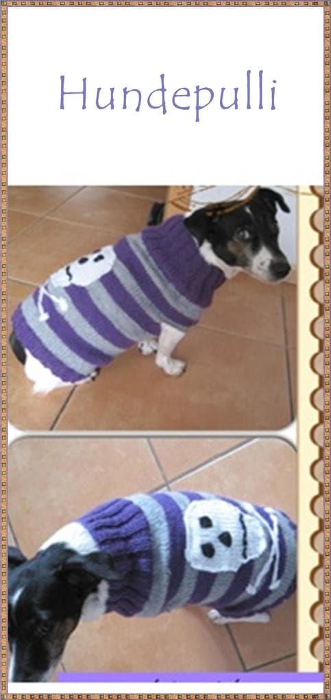 Strickanleitung Hundepulli