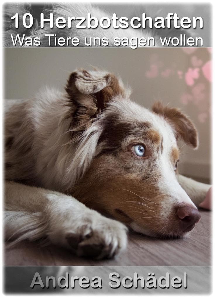10 Herzbotschaften - Was Tiere uns sagen wollen