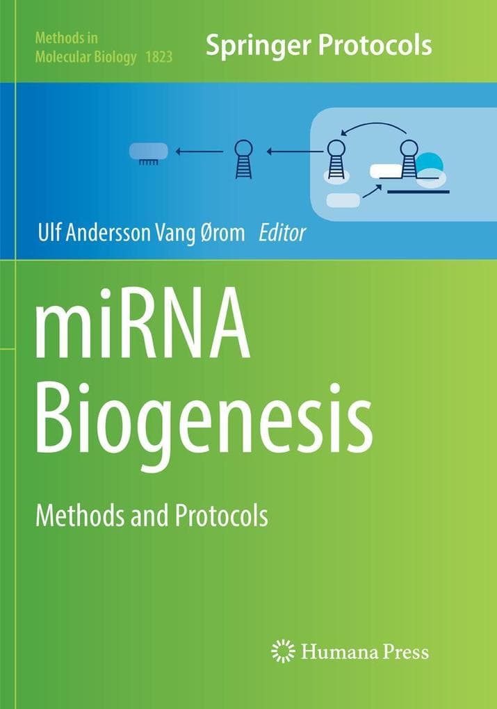 miRNA Biogenesis