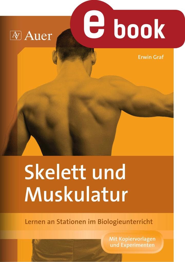 Skelett und Muskulatur