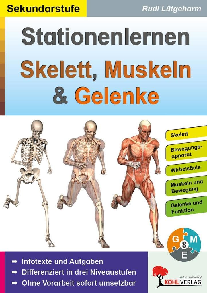 Stationenlernen Skelette, Muskeln & Gelenke