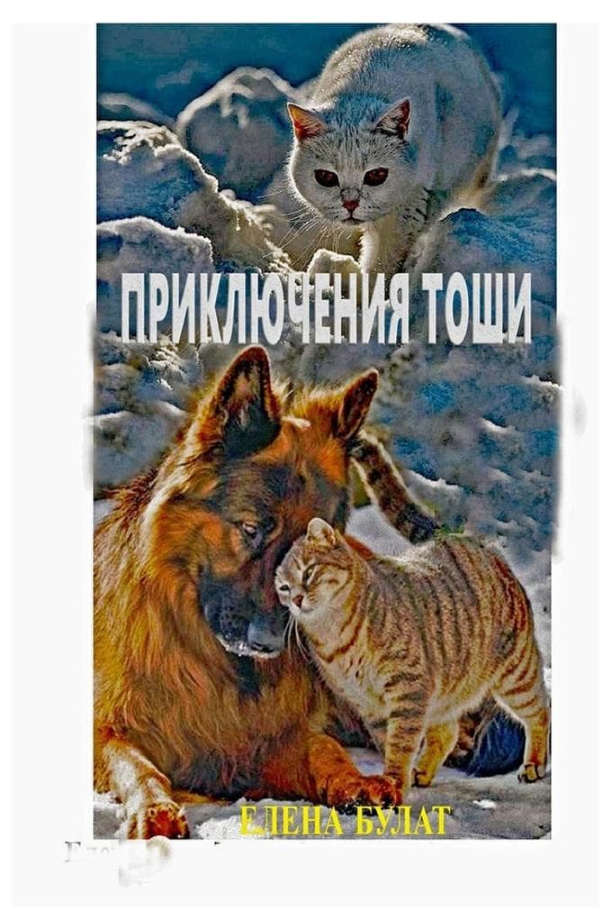 &#1055;&#1088;&#1080;&#1082;&#1083;&#1102;&#1095;&#1077;&#1085;&#1080;&#1103; &#1058;&#1086;&#1096;&#1080;