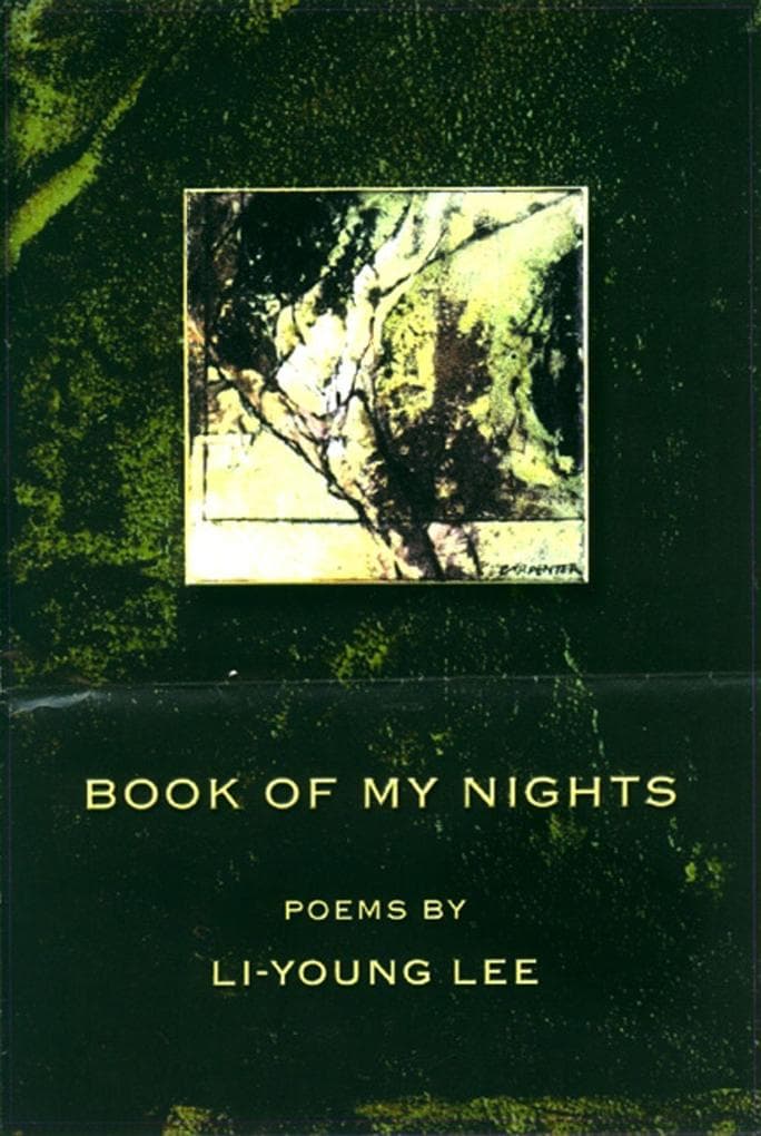 Book of My Nights