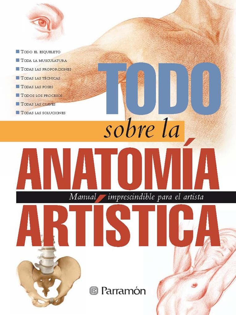 Todo sobre la anatomía artística