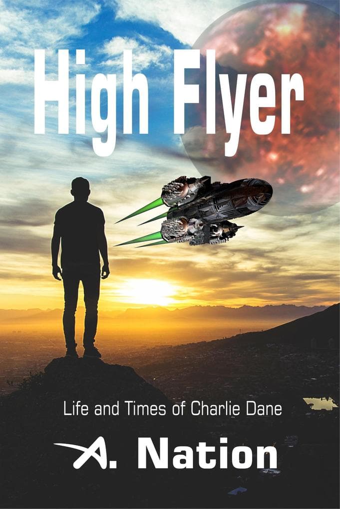 High Flyer (Domino Series)
