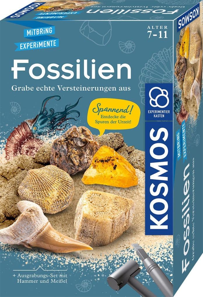 KOSMOS - Fossilien