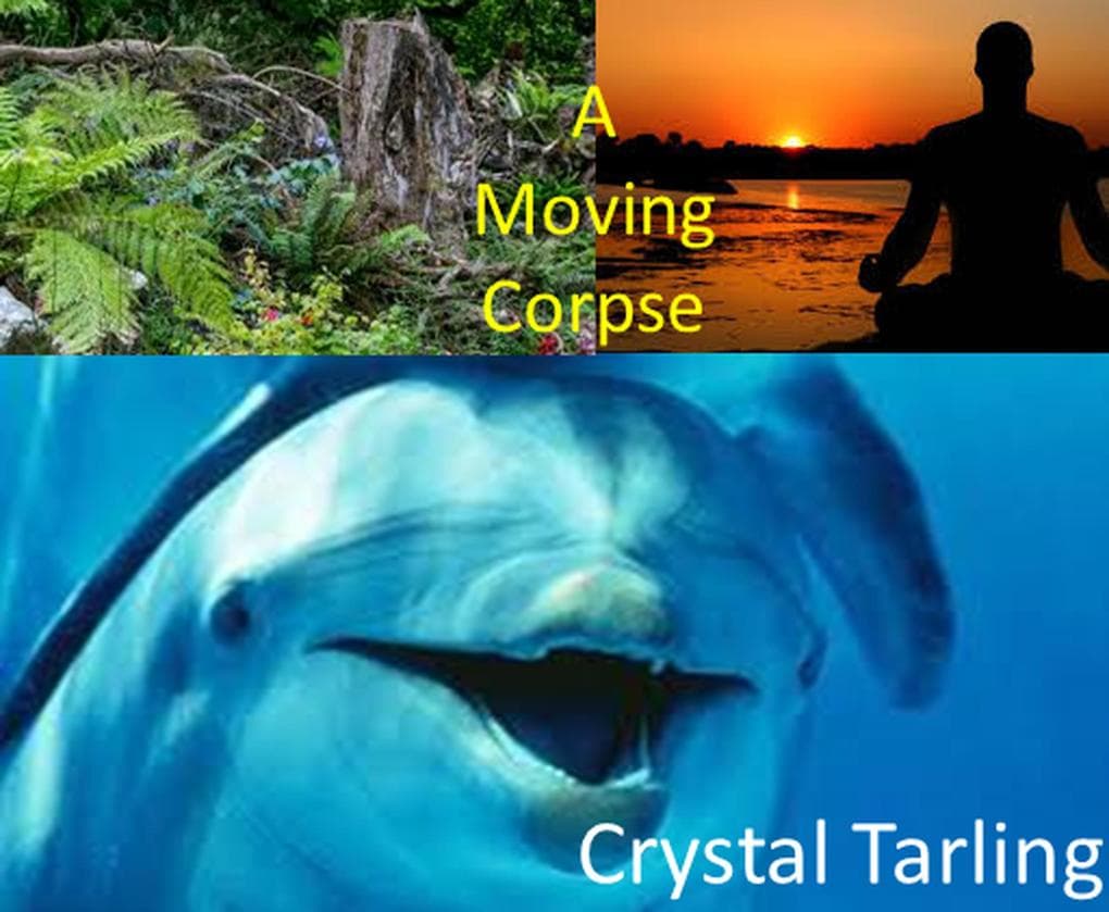 A Moving Corpse (Elementals)