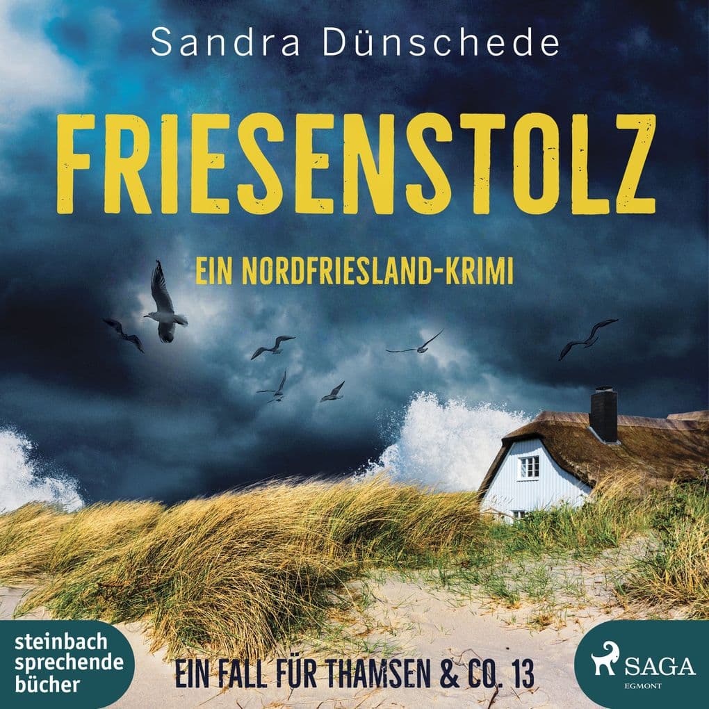 Friesenstolz: Ein NordfrieslandKrimi (Ein Fall für Thamsen & Co. 13)