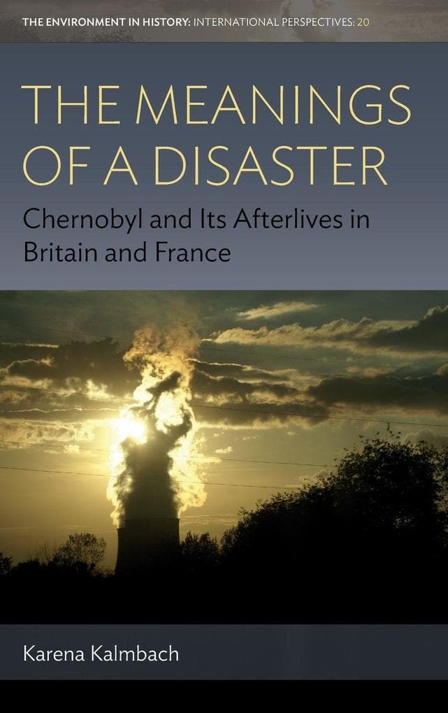 The Meanings of Disaster