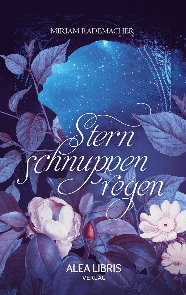 Sternschnuppenregen
