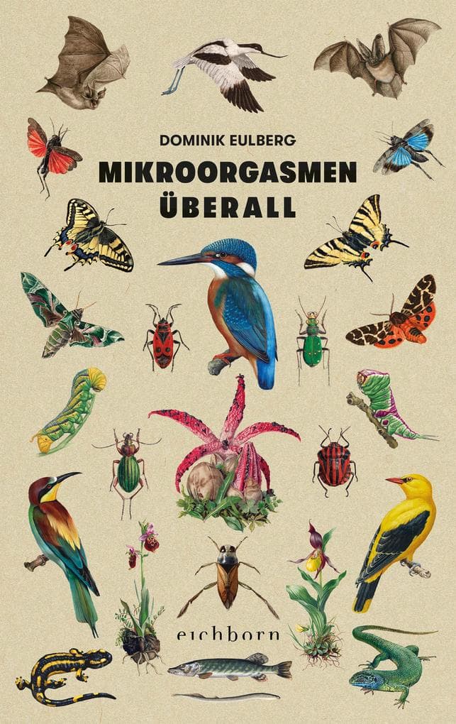 Mikroorgasmen überall