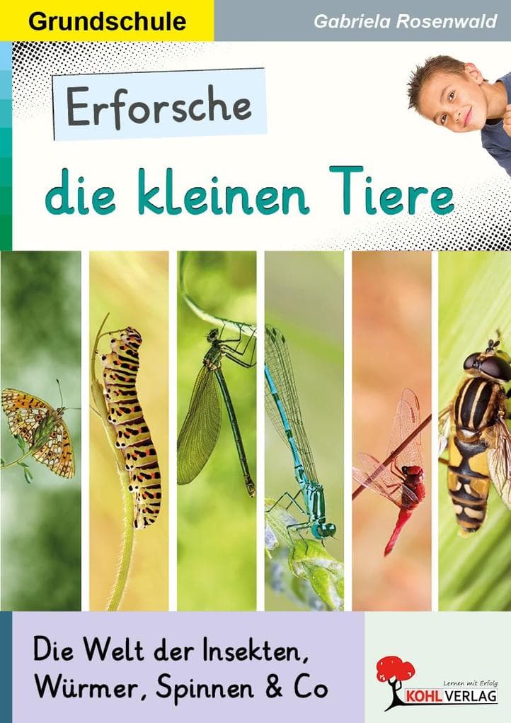 Erforsche die kleinen Tiere