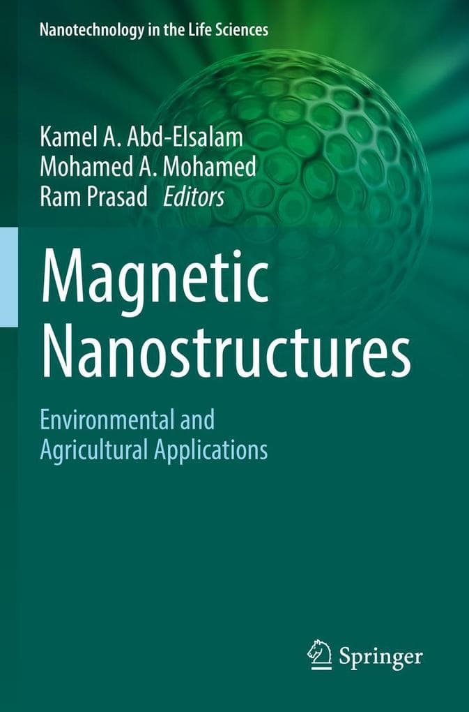 Magnetic Nanostructures