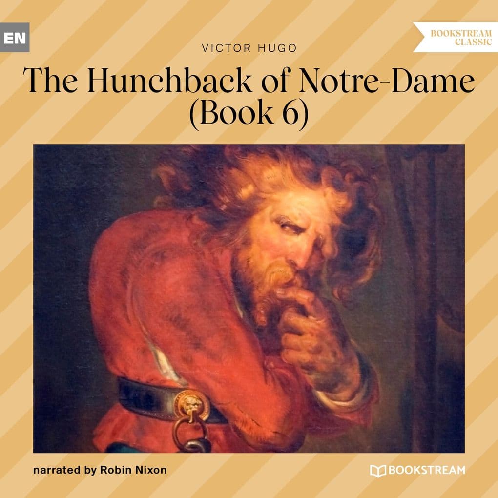 The Hunchback of Notre-Dame - Book 6