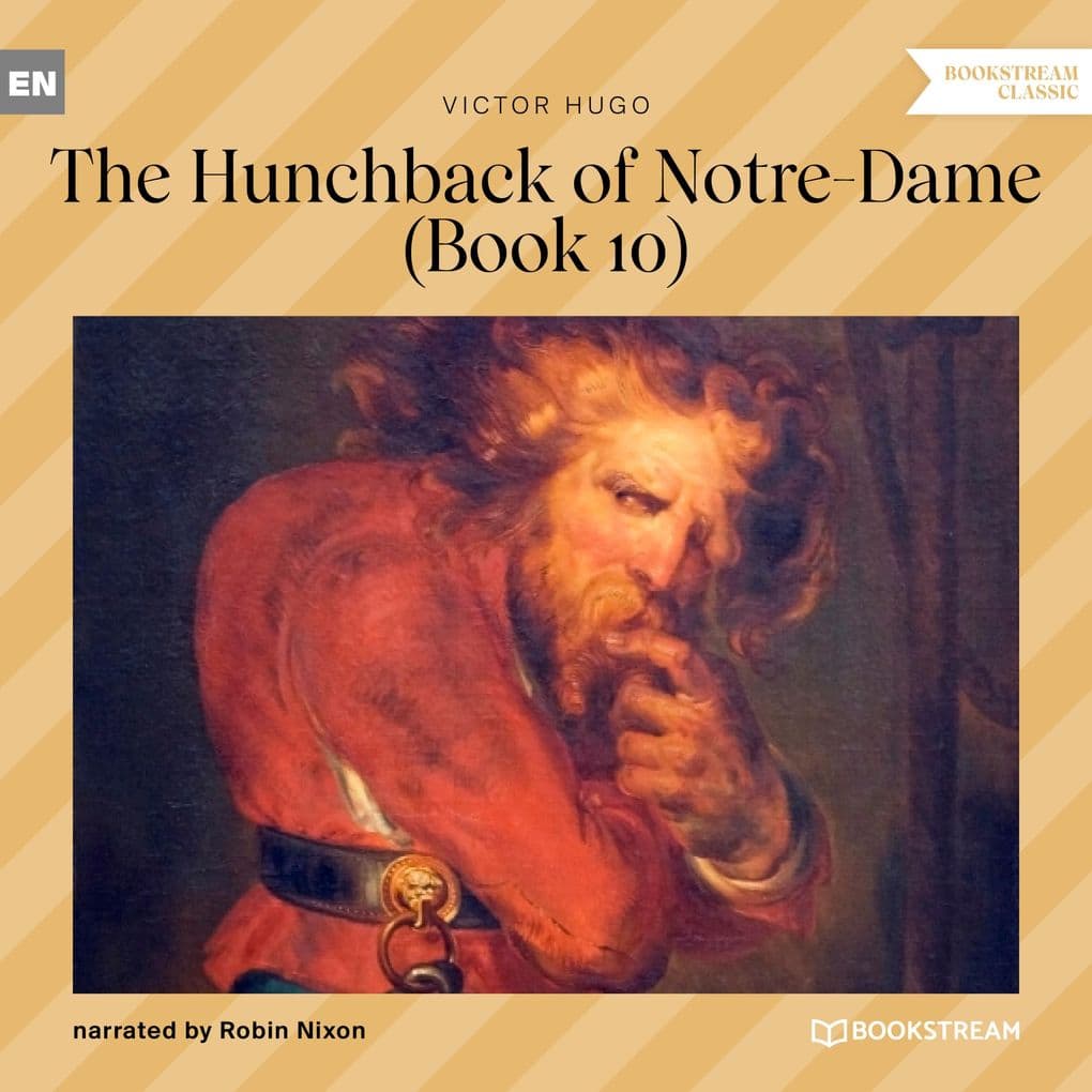 The Hunchback of Notre-Dame - Book 10