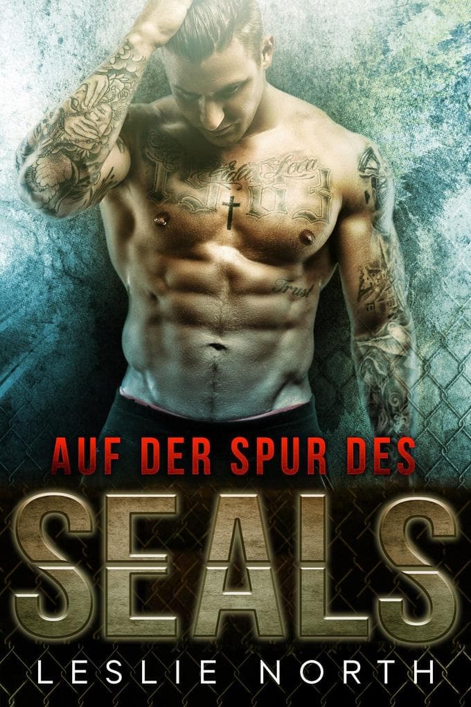 Auf der Spur des SEALs (Rettung der SEALs Reihe, #2)