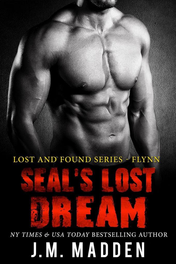SEAL's Lost Dream (Lost and Found)