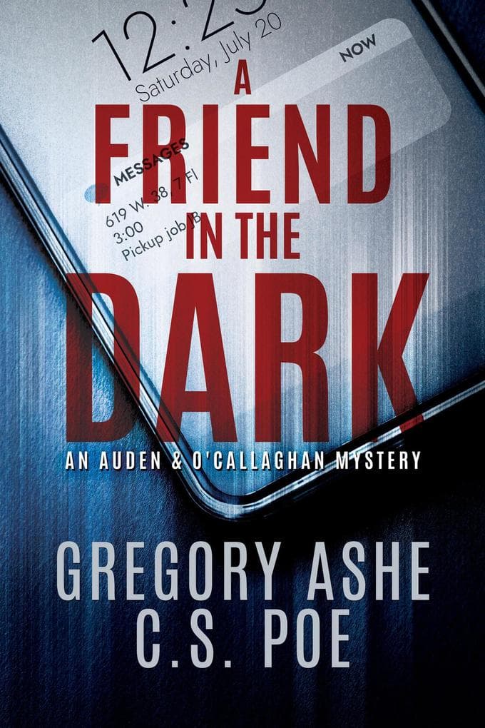 A Friend in the Dark (An Auden & O'Callaghan Mystery, #1)