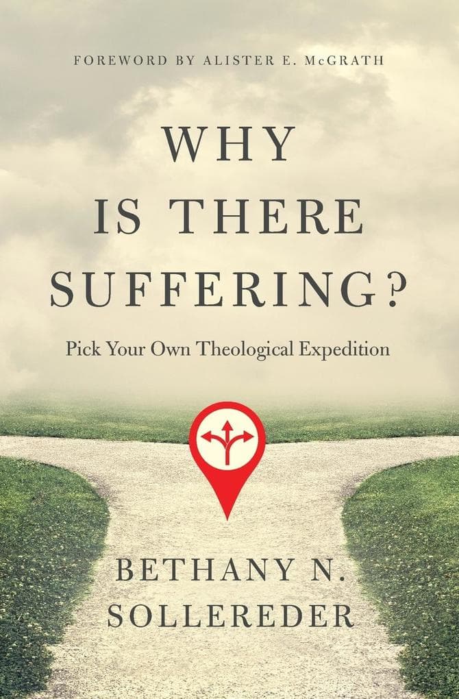 Why Is There Suffering?