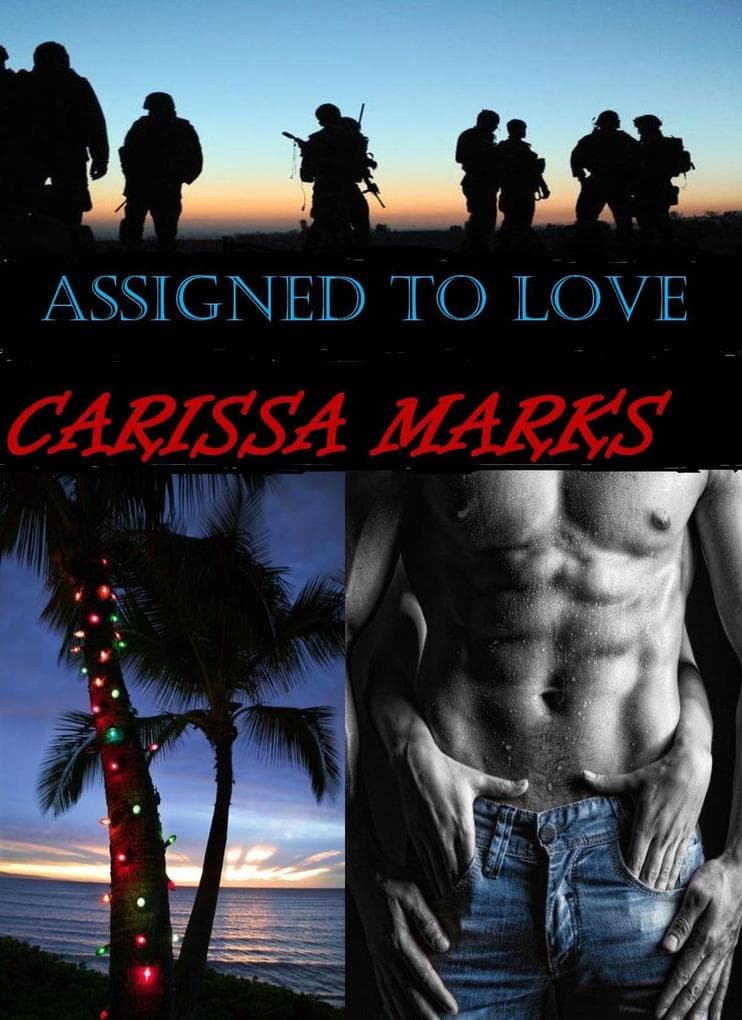 Assigned To Love (Heroes N Hearts)