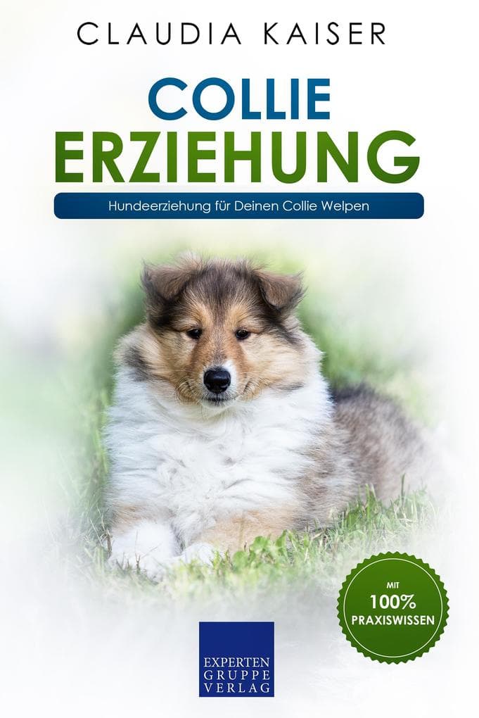 Collie Erziehung - Hundeerziehung für Deinen Collie Welpen