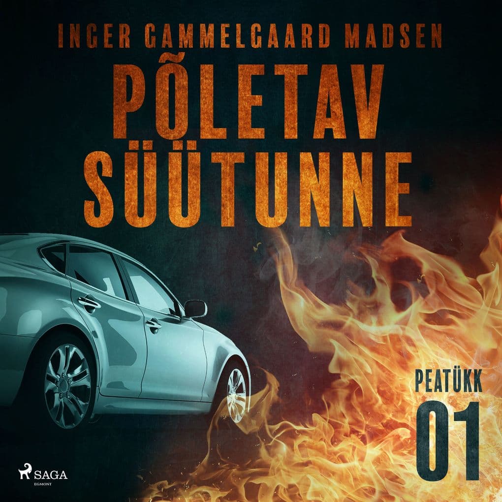 Põletav süütunne 1. peatükk
