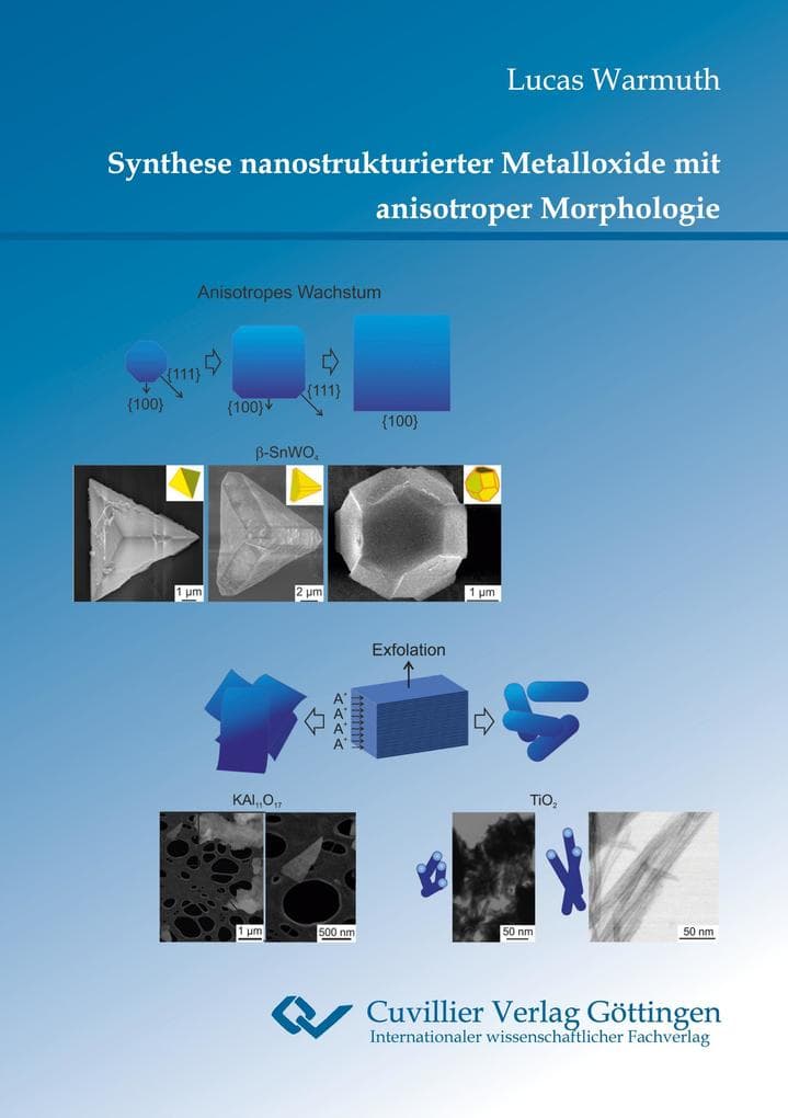 Synthese nanostrukturierter Metalloxide mit anisotroper Morphologie