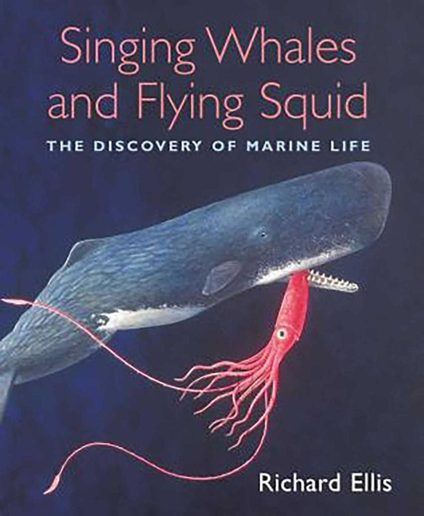 Singing Whales and Flying Squid